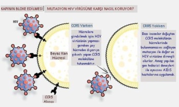Haber | AIDS`te çığır açan tedavi