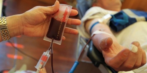 Haber | `Eşcinsellerden kan almıyoruz` tartışması