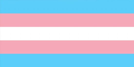 Haber | TRANS BİREYLER, KADINLAR VE GENÇLER TARAFINDAN DAHA ÇOK KABUL GÖRÜYOR.