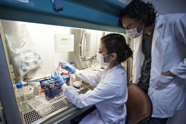 Haber | Tarihi An! Biliminsanları HIV İle Enfekte Olmuş Hücreleri Temizleyebildiklerini Açıkladı!