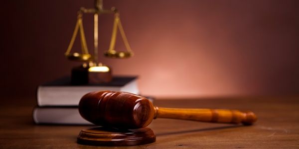 Haber | HOLLANDA ANAYASASI�NA �C�NSEL Y�NEL�ME DAYALI AYRIMCILIK SU�TUR� MADDES� EKLENECEK